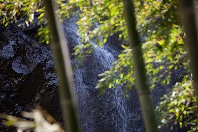 动作冒险角色扮演游戏《佐兹小镇》现已上线Steam平台